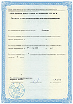 Лицензия на медицинскую деятельность лист 2